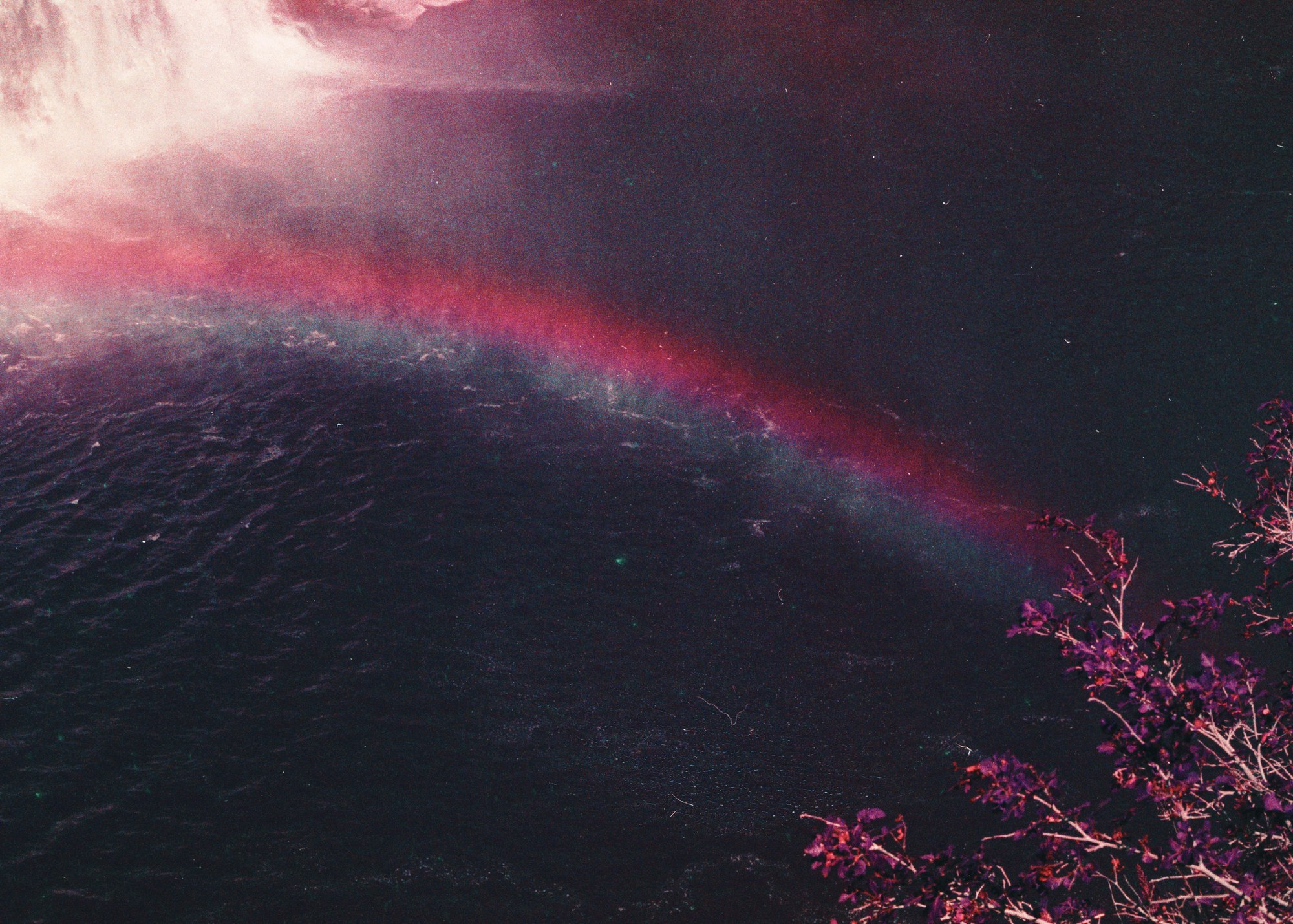 Cotton Candy II — Mayra Rae, 35mm film, 2023