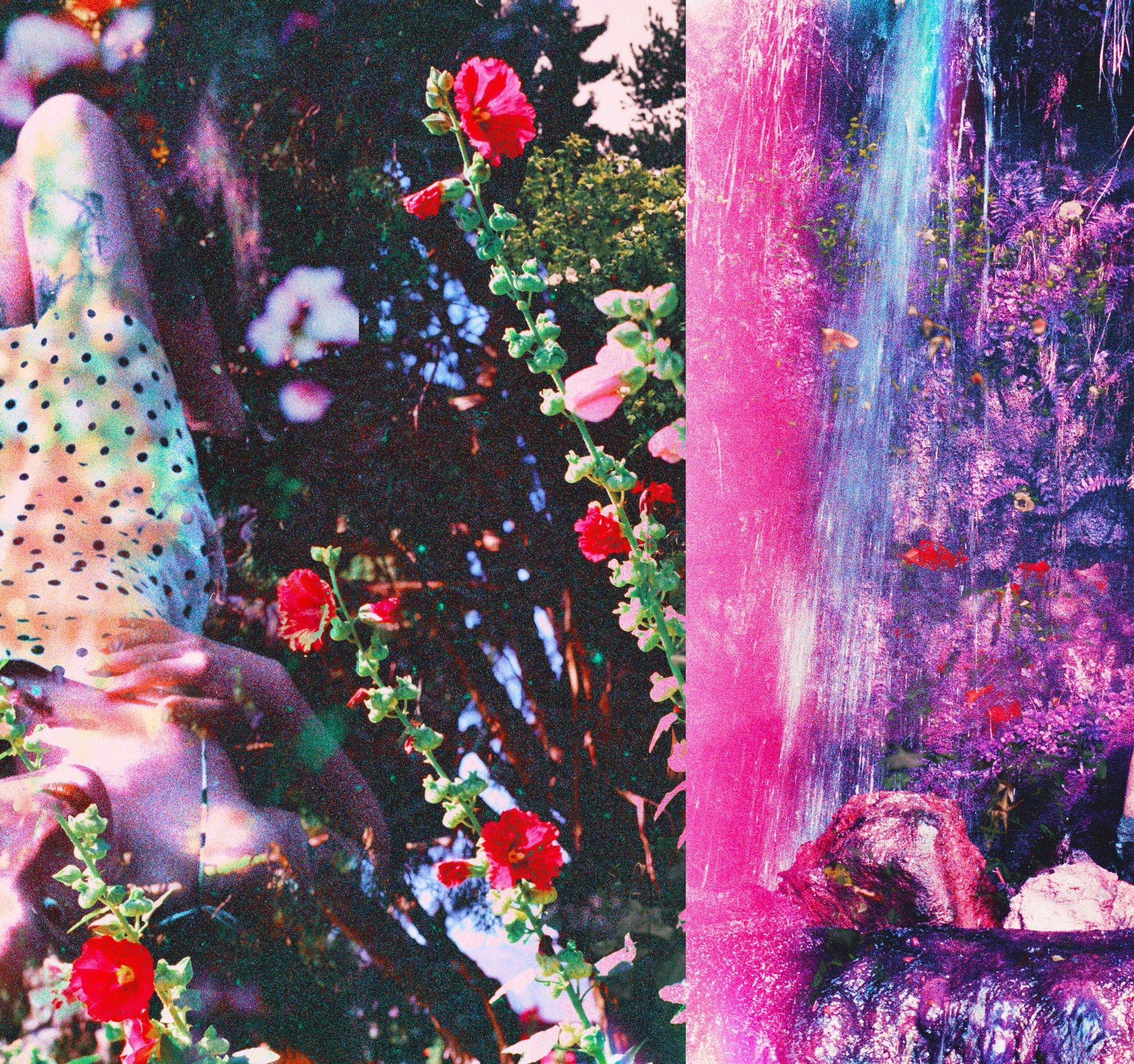 Dreaming in Technicolor — Mayra Rae, 35mm double exposure, 2023