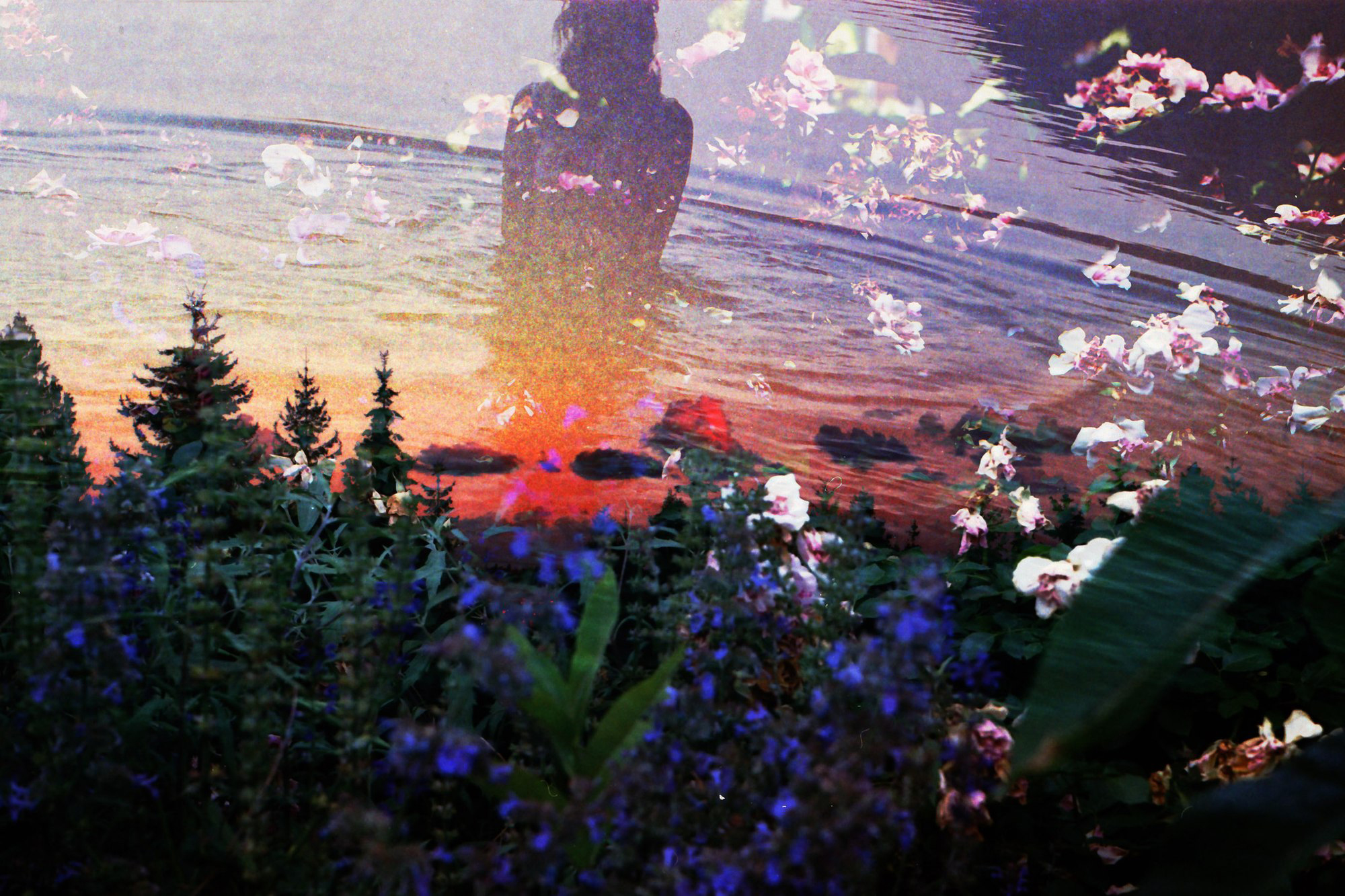Glimmer — Mayra Rae