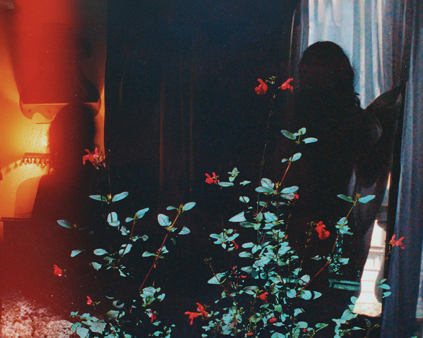 Last Night's Embers — Mayra Rae, 35mm in-camera double exposure, 2025