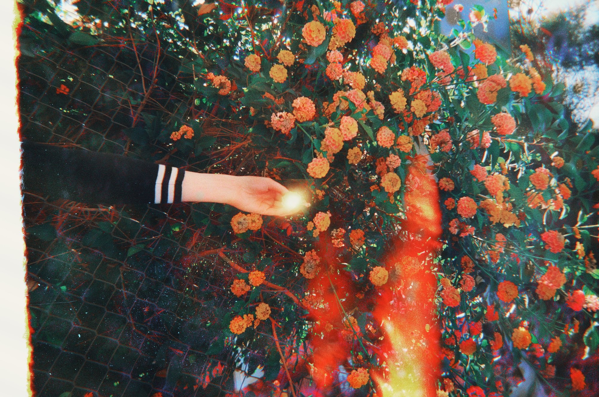 Light Giver — Mayra Rae, shot on expired 35mm film, 2025