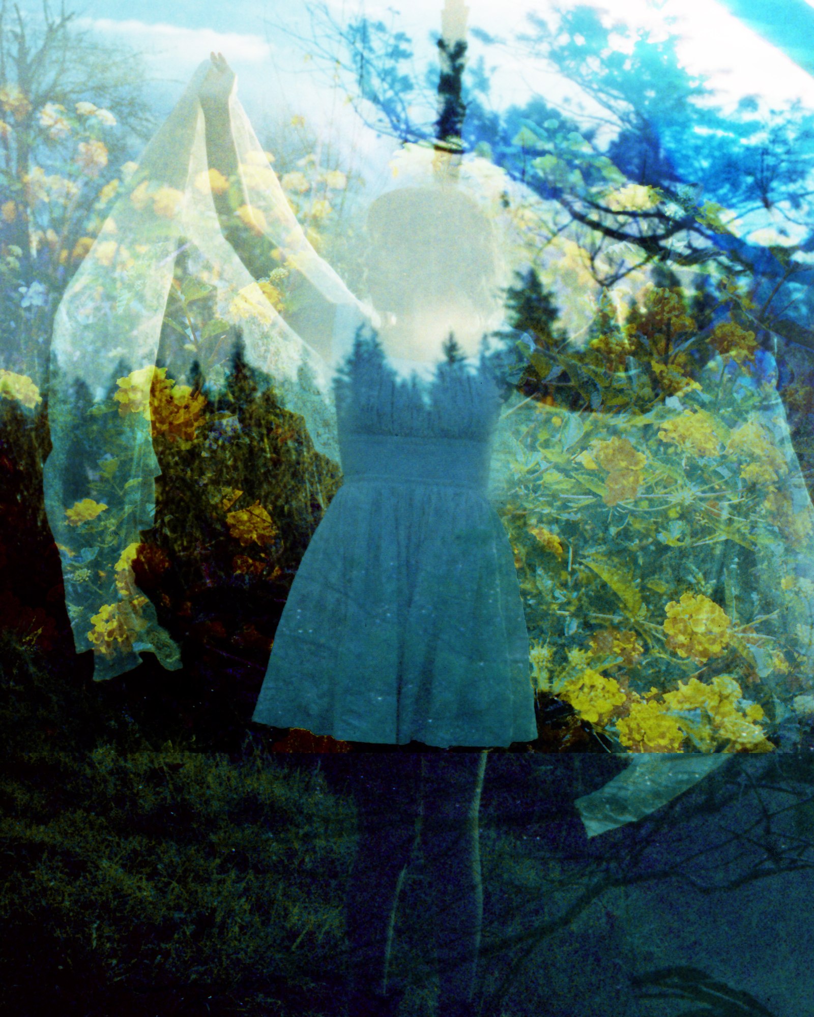Marigold Angel — Mayra Rae, double exposure on Cinestill 800, 2021