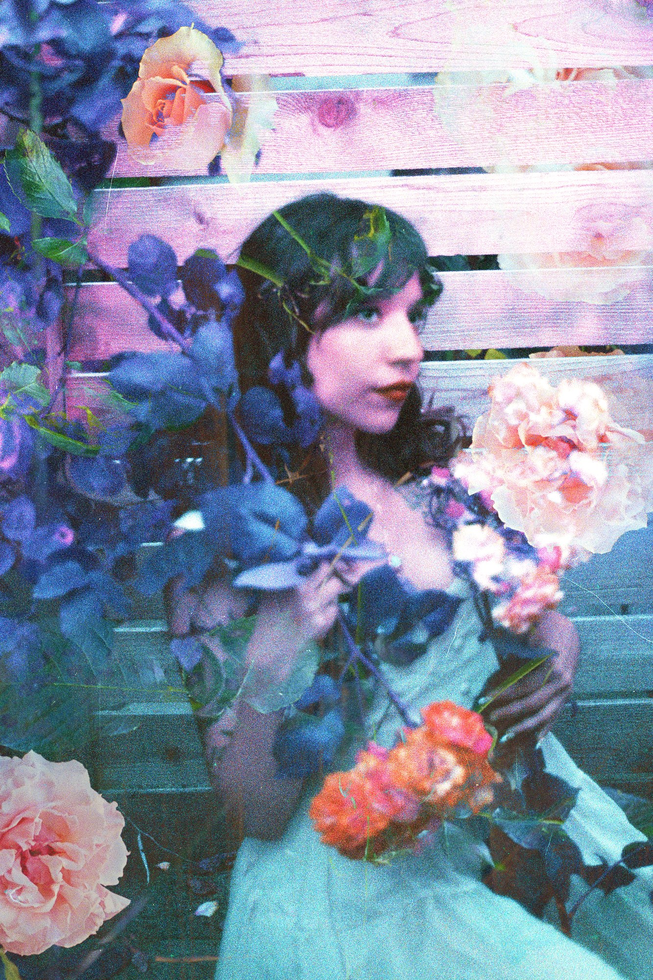 Memories & Other Poisons — Mayra Rae