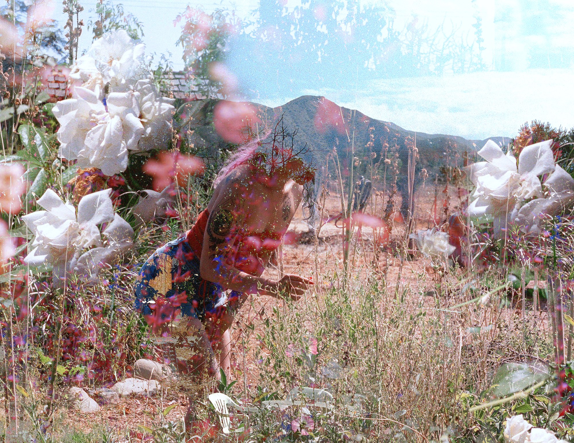 Mountain Wishin' — Mayra Rae, double exposure on Portra 400, 2021