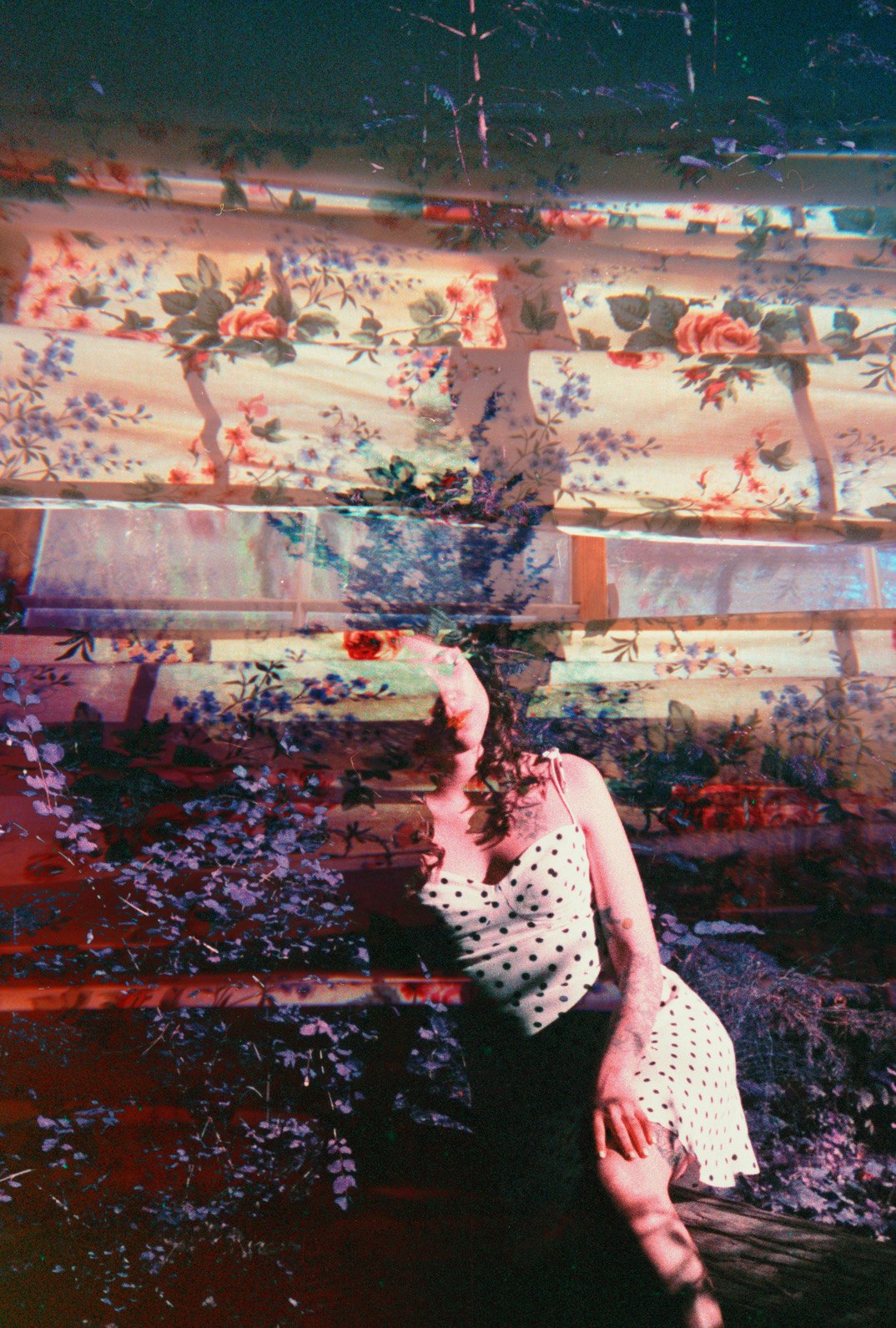 Nightshade — Mayra Rae